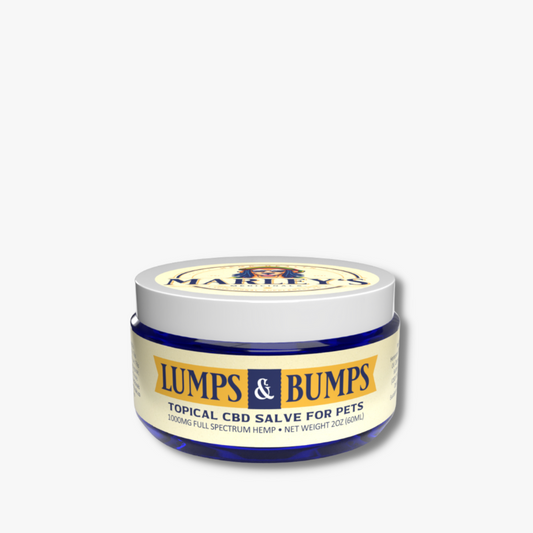 LUMPS & BUMPS - Topical CBD Salve (1000mg)